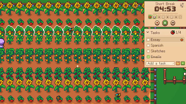 On a break, the farmer harvests a row of tomatoes